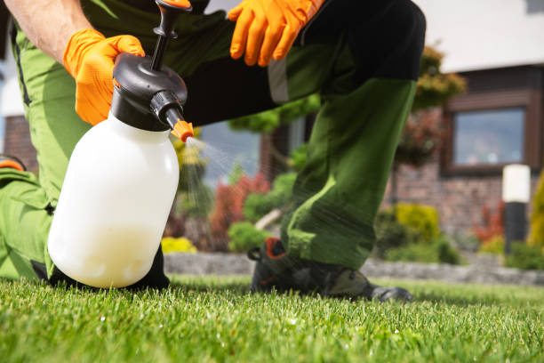 Best Termite Control Services  in Rock Springs, WY