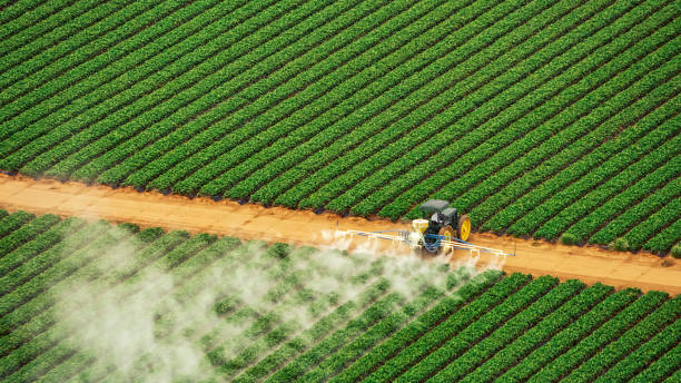 Reliable Rock Springs, WY Pest Control Solutions