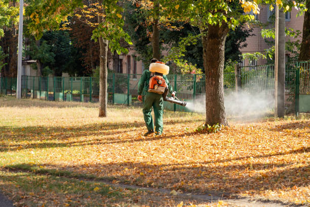 Best Residential Pest Control  in Rock Springs, WY